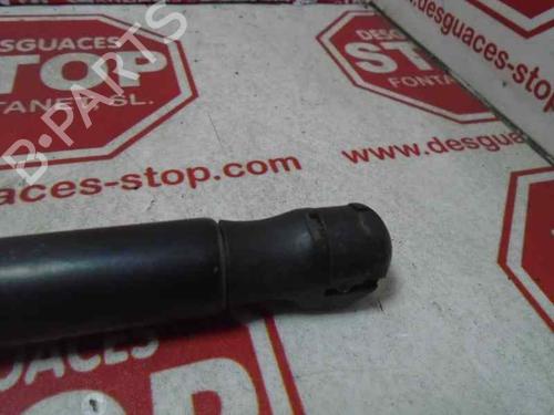 Gasfjeder motorhjelm OPEL VECTRA C (Z02)  | BP15920910C139 