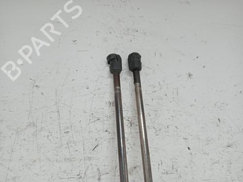 Tailgate lift support SEAT ALHAMBRA (7V8, 7V9)  | BP28509413C138 