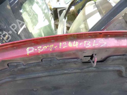 Hood PEUGEOT 307 (3A/C) 2.0 HDi 90 | BP7619985C1 