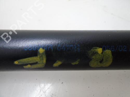 Tailgate lift support SEAT IBIZA III (6L1)  | BP15923482C138 