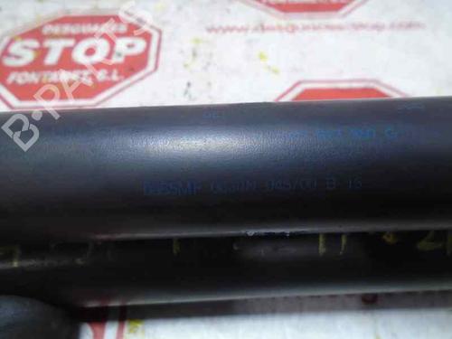 Tailgate lift support SEAT ALHAMBRA (7V8, 7V9) 1.9 TDI | BP15922385C138 