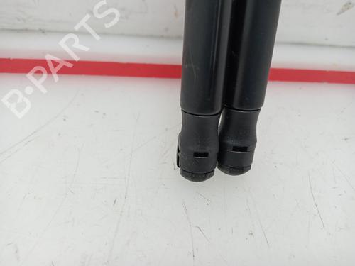 Tailgate lift support LAND ROVER RANGE ROVER SPORT I (L320) 2.7 D 4x4 | BP15948850C138 