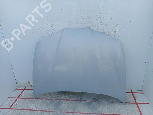 Used Hood SEAT IBIZA III (6L1) [2002-2009]  21570684