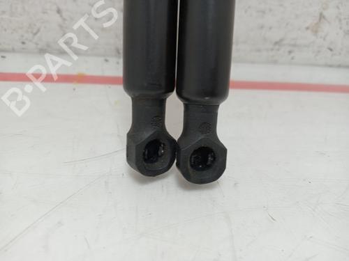 Tailgate lift support RENAULT CLIO IV (BH_)  | BP29073893C138 