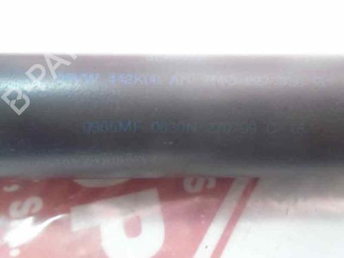 Tailgate lift support SEAT ALHAMBRA (7V8, 7V9) 1.9 TDI | BP15921755C138 