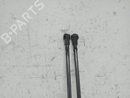 Tailgate lift support SEAT LEON (1M1)  | BP27866888C138 