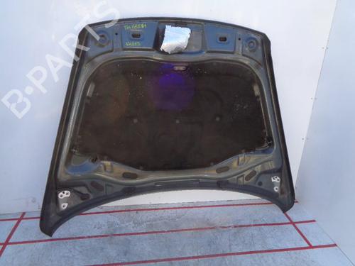 Hood VW TOUAREG (7LA, 7L6, 7L7) 2.5 R5 TDI | BP15933318C1 