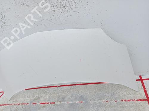 hood-renault-kangoo-express-fw01_-2008-29608756 main image