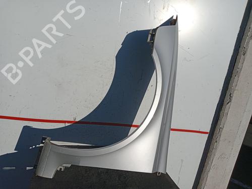 Left front fenders RENAULT LAGUNA II (BG0/1_) 1.9 dCi (BG1A, BG1V) | BP16293470C41 
