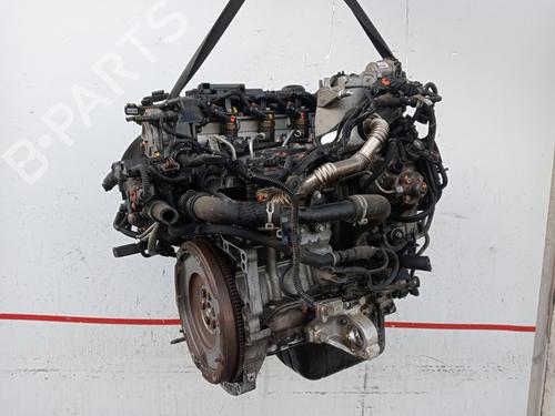 Motor CITROËN C4 CACTUS 1.6 BlueHDi 100 (99 hp) 31611362