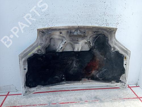 Hood FORD TRANSIT CONNECT (P65_, P70_, P80_) 1.8 TDCi | BP25484869C1 