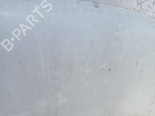 Hood FORD TRANSIT CONNECT (P65_, P70_, P80_) 1.8 TDCi | BP25484869C1 