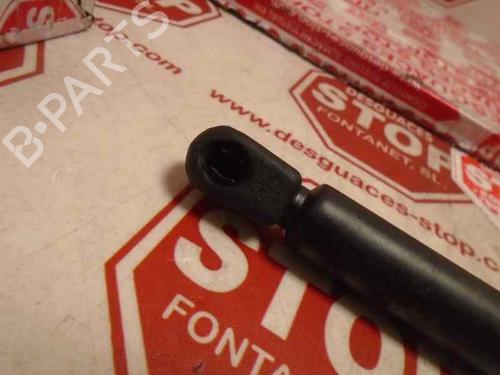 Hood lift support SEAT LEON (1M1)  | BP15922465C139 