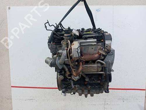 Engine SEAT TOLEDO IV (KG3) 1.6 TDI | BP38734378M1 - Image 12