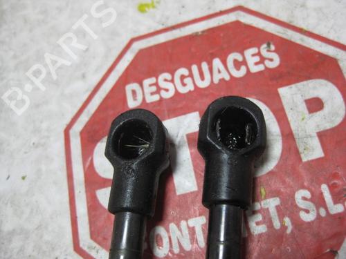 Tailgate lift support CITROËN C4 Picasso I MPV (UD_) 2.0 HDi 138 | BP15922887C138 