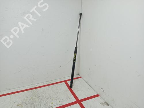 Tailgate lift support SEAT IBIZA III (6L1)  | BP16367079C138 