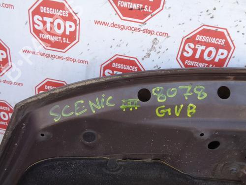 Hood RENAULT SCÉNIC III (JZ0/1_)  | BP8405931C1 