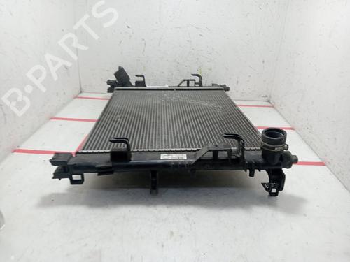 Water radiator DACIA LODGY (JS_) | BP33957204M31 - Image 2