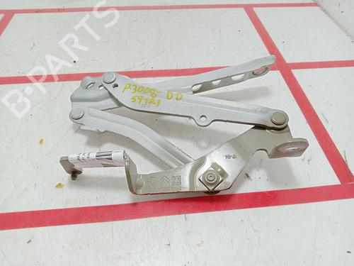 Used Hinge/Door check strap Hinge/Door check strap PEUGEOT 3008 II SUV (MC_, MR_, MJ_, M4_) 1.6 THP 165 (M45GYW, M45GZW, M45GYV) (165 hp) 32502190 32502190