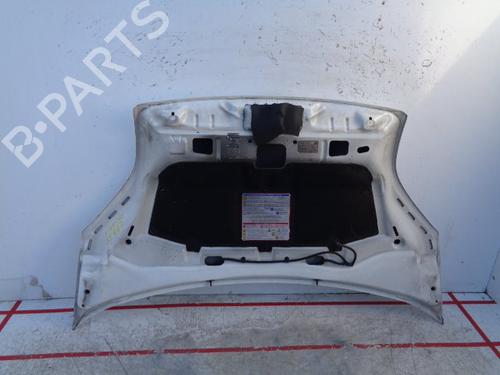 Hood FIAT FIORINO Box Body/MPV (225_)  | BP15949396C1 