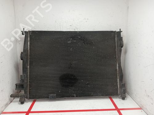Water radiator NISSAN QASHQAI I (J10, NJ10)  | BP29117491M31 
