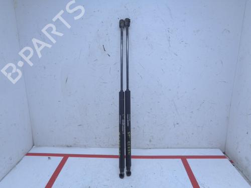 Used Tailgate lift support FIAT BRAVO II (198_) 1.9 D Multijet (198AXB1A) (120 hp) 15948113