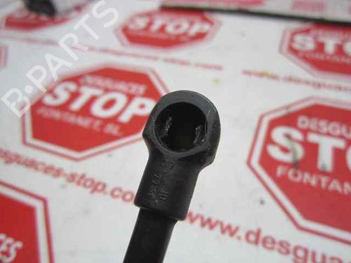 Hood lift support SEAT ALHAMBRA (7V8, 7V9) 1.9 TDI | BP15920888C139 