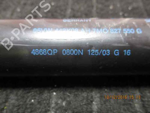 Tailgate lift support SEAT ALHAMBRA (7V8, 7V9) 1.9 TDI | BP15920644C138 