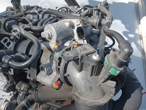 Engine FORD FOCUS IV Turnier (HP)  | BP32323525M1 