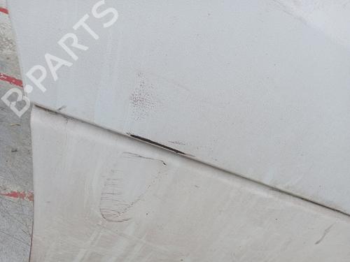 Left front door MERCEDES-BENZ SPRINTER 3-t Platform/Chassis (B906) 218 CDI (906.111, 906.113, 906.211, 906.213) | BP29722029C2 