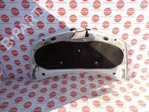 Hood RENAULT CLIO III (BR0/1, CR0/1) 1.5 dCi (C/BR0G, C/BR1G) | BP7621983C1 