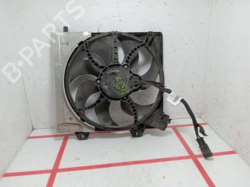 Used Radiator fan Radiator fan PEUGEOT 208 II (UB_, UP_, UW_, UJ_) [2019-2026] 29533910 29533910