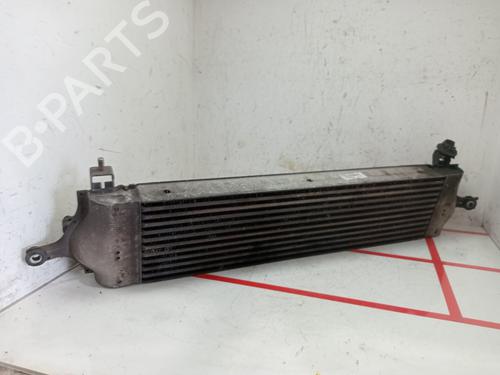 Intercooler NISSAN QASHQAI I (J10, NJ10)  | BP29117495M30 