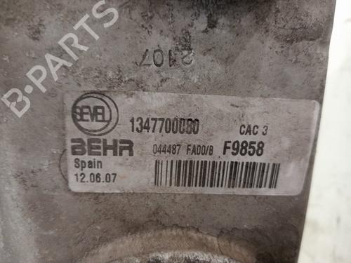 Intercooler FIAT DUCATO Platform/Chassis (250_)  | BP29533973M30 