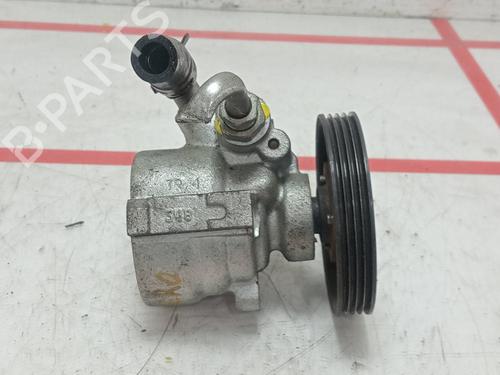 Steering pump DACIA SANDERO | BP25443382M99