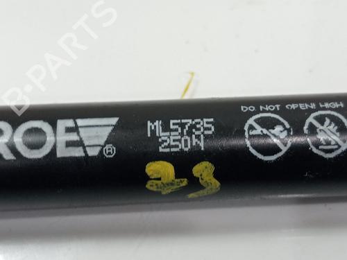Hood lift support VW GOLF V (1K1)  | BP27696777C139 