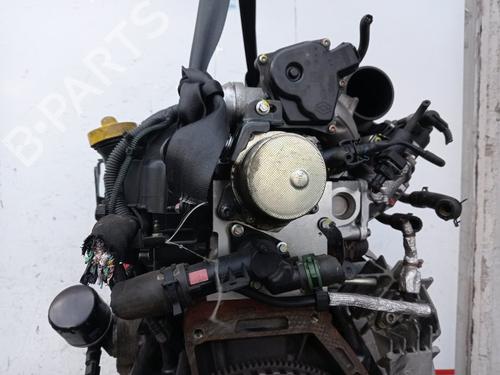 Engine RENAULT LAGUNA III (BT0/1) | BP31380381M1 - Image 10