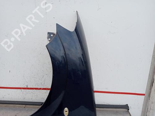 Left front fenders CITROËN C3 I (FC_, FN_) 1.4 i Bivalent | BP20727003C41 