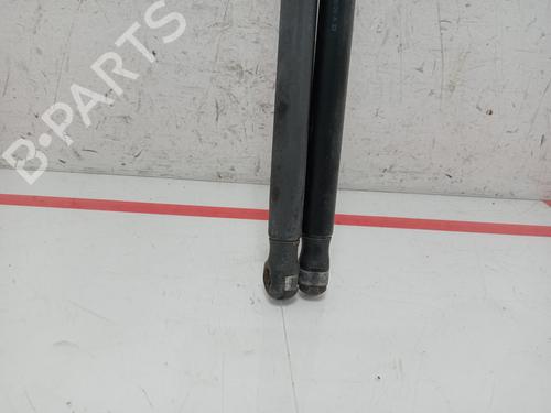 Tailgate lift support SEAT IBIZA III (6L1)  | BP24926521C138 