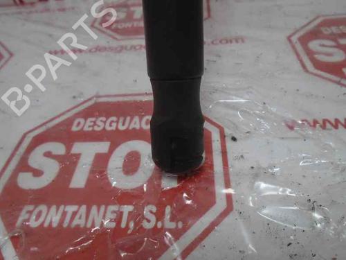 Hood lift support VW CADDY III Box Body/MPV (2KA, 2KH, 2CA, 2CH)  | BP15922023C139 