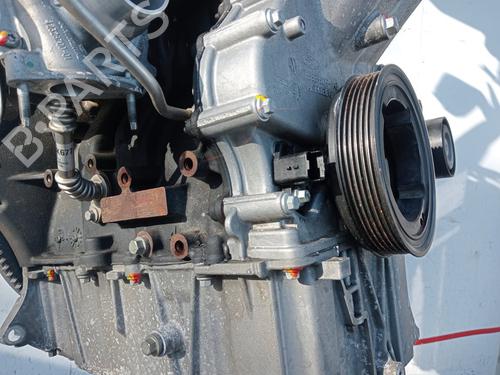 Engine FORD FOCUS IV Turnier (HP)  | BP32323525M1 