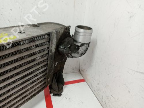 Intercooler NISSAN QASHQAI I (J10, NJ10)  | BP29117495M30 