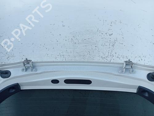 Tailgate NISSAN JUKE (F15)  | BP29043033C6 