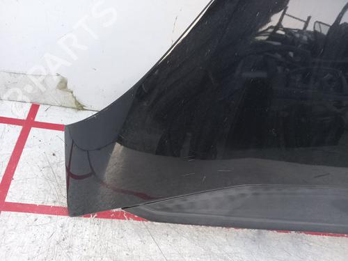 Hood CITROËN C4 Grand Picasso I (UA_) 1.6 HDi | BP19514681C1 