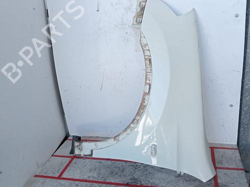 Used Left front fenders NISSAN QASHQAI / QASHQAI +2 I (J10, NJ10, JJ10E) 1.6 (114 hp) 17532125