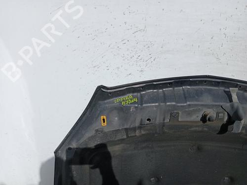 Hood OPEL ZAFIRA / ZAFIRA FAMILY B (A05) 1.9 CDTI (M75) | BP19064287C1