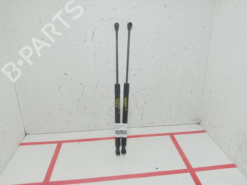 tailgate-lift-support-dacia-sandero-ii-2012-33983111 main image