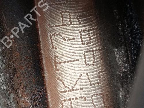 Engine RENAULT CLIO III (BR0/1, CR0/1)  | BP29565783M1 