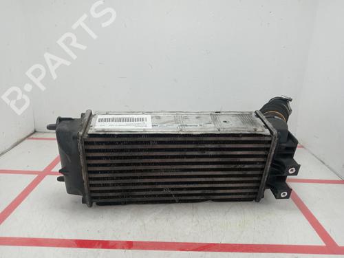 Intercooler CITROËN BERLINGO Box Body/MPV (B9) | BP36091195M30 - Image 3