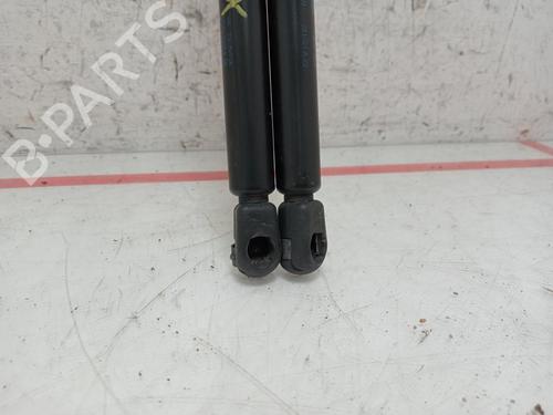 Tailgate lift support SEAT IBIZA II (6K1)  | BP29906252C138